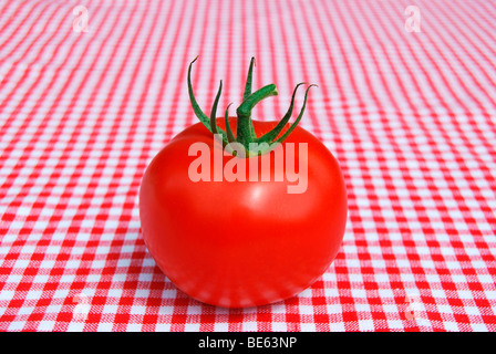 Weinstocks Tomate auf rote und weiße aufgegebenes Tischdecke Stockfoto