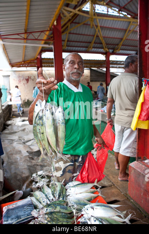 Die lebhaften Fischmarkt Sir Selwyn Clarke Market auf der Market Street, Victoria, Mahé, Seychellen, Indischer Ozean, Afrika Stockfoto