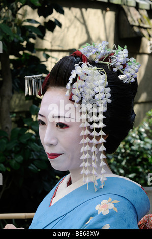 Maiko, Geisha in Ausbildung, in der Nähe von Stadtteil Gion, Kyoto, Japan, Asien Stockfoto