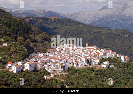 Algatocin, ein typisches weißes Dorf Pueblo Blanco, in den Bergen von Andalusien in der Nähe von Ronda, Spanien, Europa Stockfoto