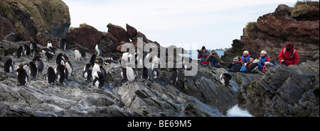 Panorama Kreuzfahrtpassagiere, Eco-Touristen erkunden, felsige Küste auf Zodiac Boot Ausflug nach Foto rock-hopper Pinguine in der Antarktis Stockfoto