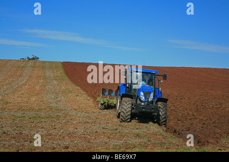 Herbst Pflügen in einem Feld in Cannington, Somerset, England, UK Stockfoto