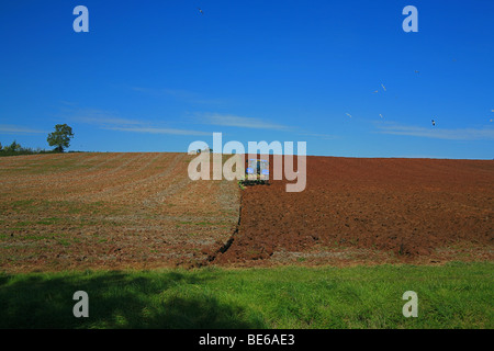 Herbst Pflügen in einem Feld in Cannington, Somerset, England, UK Stockfoto