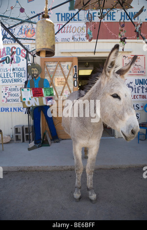 Westliche Altstadt Oatman, Kalifornien entlang der klassischen Route 66. Stockfoto