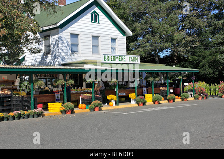 Stehen Sie Brieremere Farm, eine beliebte Obst-, Gemüse- und Kuchen am östlichen Ende von Long Island, NY Stockfoto