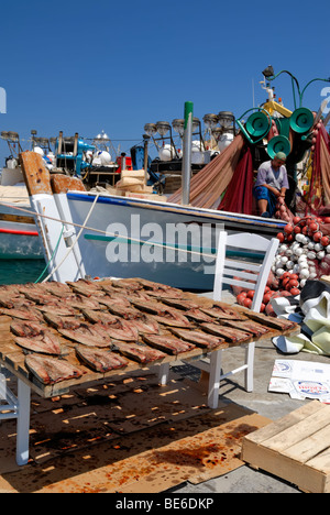 Eine schöne Aussicht auf den schönen Fang der Fischer im Hafen von Naoussa. Naoussa, Insel Paros, Kykladen, Griechenland, EU. Stockfoto