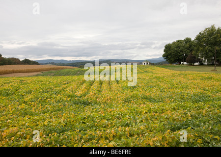 Ein Bauernhof befindet sich auf einer Landstraße in Staunton, Virginia. Stockfoto