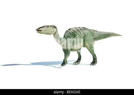 Edmontosaurus fotorealistische 3D-Rendering, fiel mit Schatten auf weißem Untergrund. Stockfoto