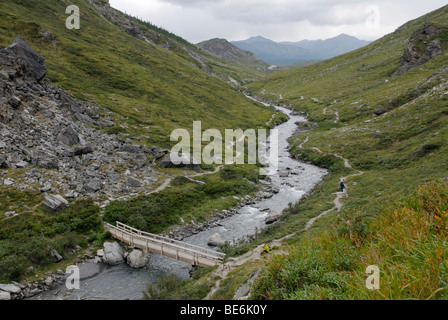 Savage River, mit Wanderwegen, Denali National Park Stockfoto