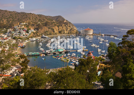 AVALON, Kalifornien, USA - Hafen und Casino in Stadt von Avalon, Santa Catalina Island Stockfoto