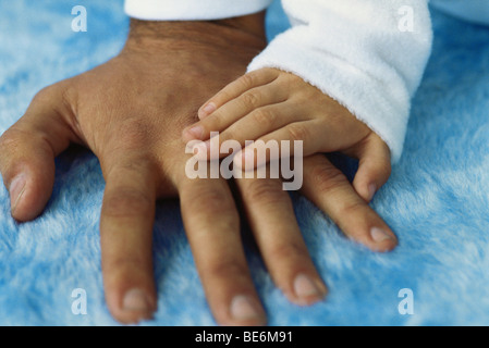 Hand des Kindes auf Erwachsene Hand gelegt Stockfoto