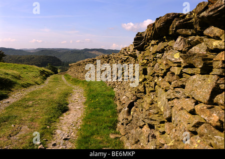 Trockenmauer entlang einer entfernten Strecke in der Nähe von weit Sawrey im Lake District Cumbria UK Stockfoto