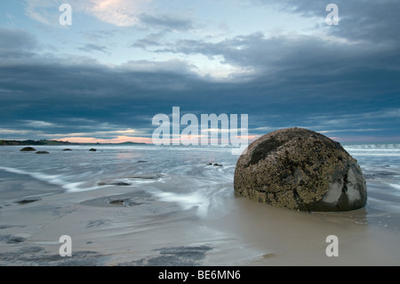 Die Moeraki Boulders, Koekohe Strand, Südinsel, Neuseeland Stockfoto