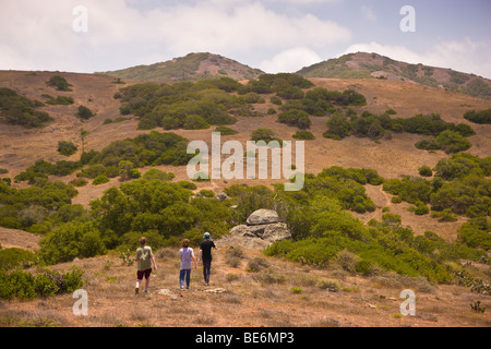 CATALINA, CA, USA - Wanderer auf Santa Catalina Island Stockfoto