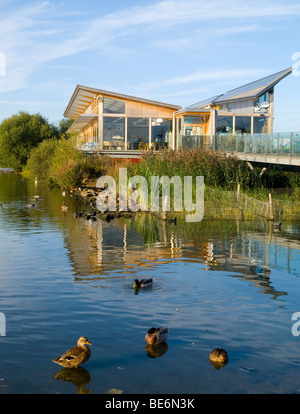 Attenborough Besucherzentrum und Naturschutzgebiet, Nottinghamshire, England UK Stockfoto