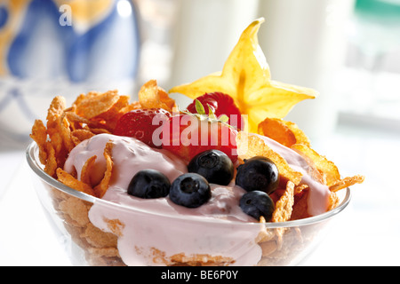 Fruchtjoghurt in eine Glasschüssel, Cornflakes, Heidelbeeren, Karambolen Stockfoto