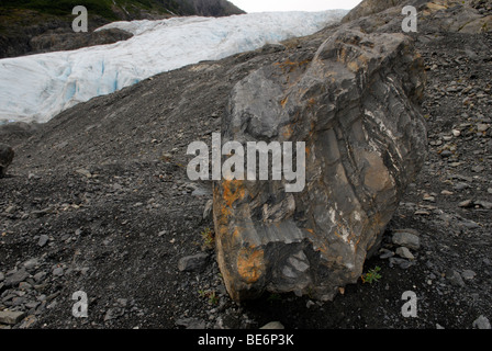 Eiszeitlichen Findling in der Nähe von Exit-Gletscher, Seward, Alaska Stockfoto