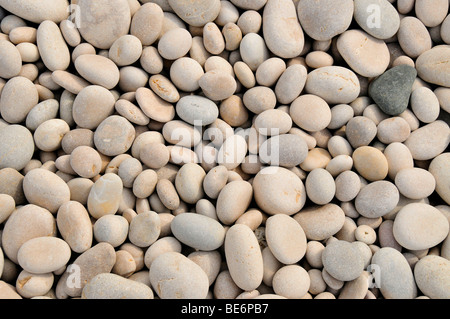 Steinen am Strand Playa de Albir, Albir, Gemeinde Alfaz del Pi, Costa Blanca, Spanien, Europa Stockfoto