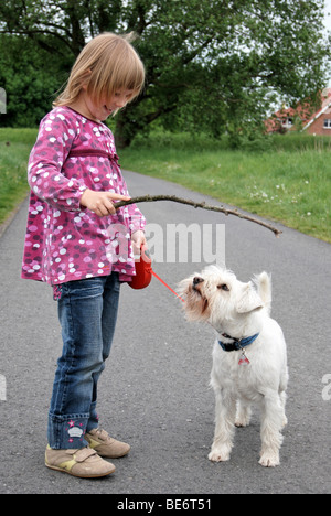 Mädchen, 5, Fetch-Stick zu spielen mit einem Zwergschnauzer Stockfoto