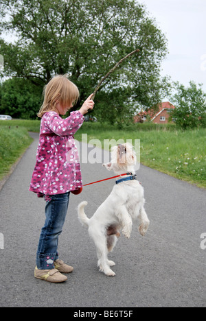 Mädchen, 5, Fetch-Stick zu spielen mit einem Zwergschnauzer Stockfoto