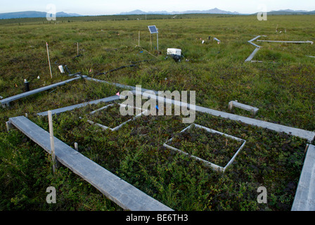 Klima Änderung Forschungsstandort, Alaska.  Kohlendioxid-Freisetzung aus auftauender Permafrost wird zusammen mit Tundra Wachstum gemessen. Stockfoto