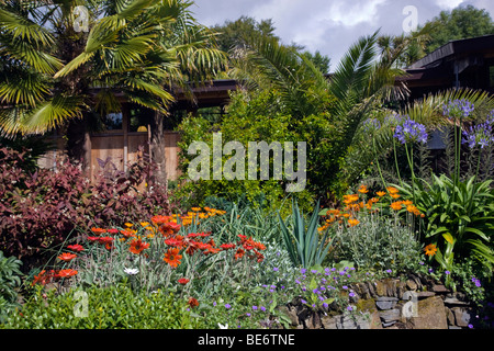 Trebah Garten; Cornwall; im Sommer; Stockfoto