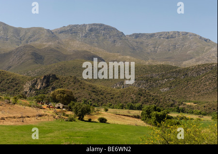 Bauernhof in den Swartberg Bergen, in der Nähe von Oudtshoorn, Südafrika Stockfoto