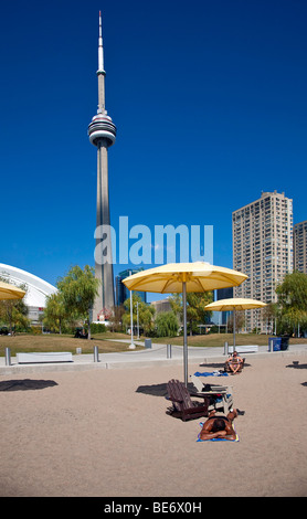 Toronto, Ontario; Kanada; Waterfront Eigentumswohnungen und Bürogebäude und der berühmten CN-Tower, der höchsten Welten frei stehend T Stockfoto
