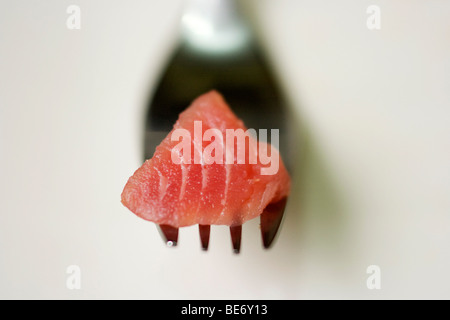 Ein Stück rohen Thunfisch auf einer Gabel. Stockfoto