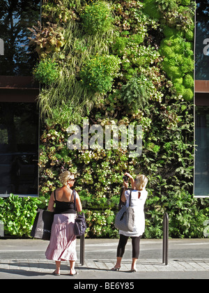 Vertikale Gärten von Patrick Blanc, Musee du Quai Branly, Paris, Frankreich Stockfoto