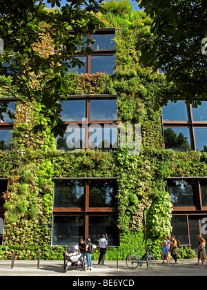 Vertikale Gärten von Patrick Blanc, Musee du Quai Branly, Paris, Frankreich Stockfoto