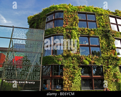 Vertikale Gärten von Patrick Blanc, Musee du Quai Branly, Paris, Frankreich Stockfoto