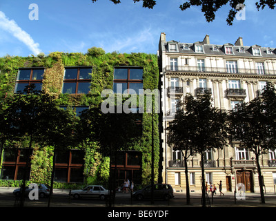 Vertikale Gärten von Patrick Blanc, Musee du Quai Branly, Paris, Frankreich Stockfoto