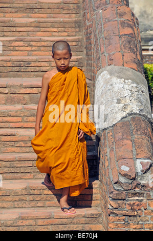 Anfänger auf der Treppe in die Krypta, große Chedi Chaya Mongkol, Wat Yai Chai Mongkon, Ayutthaya, Thailand, Asien Stockfoto