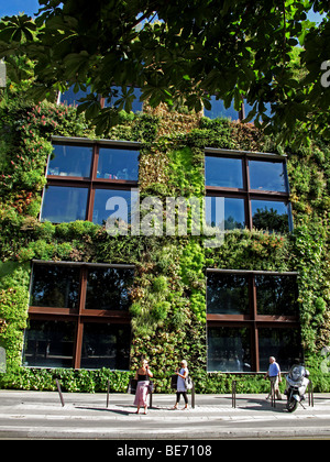 Vertikale Gärten von Patrick Blanc, Musee du Quai Branly, Paris, Frankreich Stockfoto