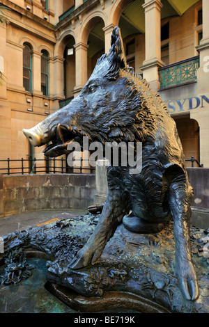 Il Porcellino, ein Bronze Wildschwein verwendet als Glücksbringer, Sydney Hospital, Sydney, New South Wales, Australien Stockfoto