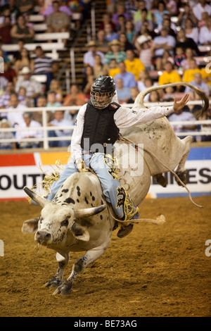 Rodeo Cowboy Bullenreiten beim Mesquite Championship Rodeo, Mesquite, Texas, USA Stockfoto