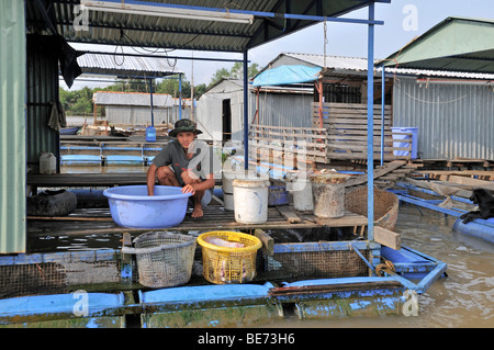 Junger Mann, frischer Fisch auf der Plattform von einer schwimmenden Fischfarm, waschen, Vinh Long, Mekong-Delta, Vietnam, Asien Stockfoto