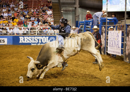 Rodeo Cowboy Bullenreiten beim Mesquite Championship Rodeo, Mesquite, Texas, USA Stockfoto