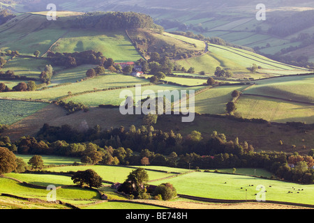 Einen Blick am frühen Morgen von Rosedale in den North York Moors National Park, North Yorkshire, England, Vereinigtes Königreich. Stockfoto