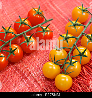 Tomaten Tomaten Stockfoto