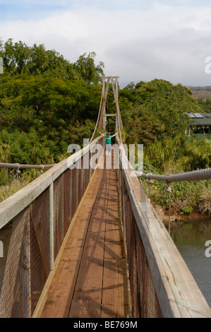 Fußgängerbrücke über den Fluss in Hanapepe Kauai Stockfoto