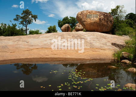 Krüger-Tabletten, Krüger Nationalpark, Südafrika Stockfoto