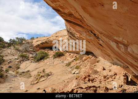 Überhängenden Felswand, einschließlich der Überreste der historischen Wohnungen der Anasazi-Indianer, etwa 900 Jahre alt, Cold Springs Stockfoto