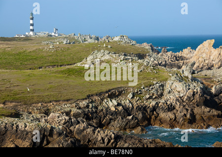 Insel Ouessant, Landschaft und creac'h Leuchtturm, Finistere, Bretagne, Frankreich Stockfoto