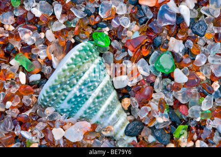 Muschel am Strand von Glas. Kauai, Hawaii. Stockfoto