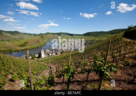 Blick auf die Mosel-Schleife in der Nähe der Stadt Bremm, Landkreis Cochem-Zell, Mosel, Rheinland-Pfalz, Deutschland, Europa Stockfoto