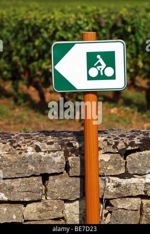 Veloroute Zeichen zwischen Meursault und Puligny-Montrachet, Burgund, Frankreich Stockfoto