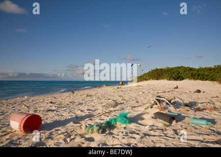 Marine Ablagerungen gewaschen an Land am Strand von North Pacific Island Stockfoto