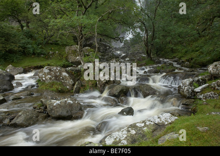 Stream unten Aber fällt im Coedydd National Nature Reserve, Conwy, Wales, UK Stockfoto